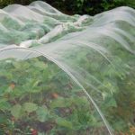 Kemirgen Koruma Filesi