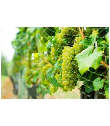Vineyard Protection Files
